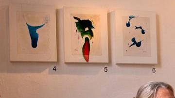 La fotógrafa trabajaba para National Geographic.