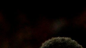 El chileno Alexis Sánchez abrió la goleada al Ludogorets.