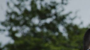 Los tuiteros se divierten con  los  'bad hombres' de Trump.