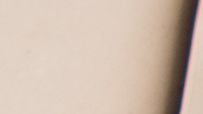 Parecen inofensivos, pero no lo son...