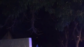 El LASD y la Policía de Bell Gardens colaboran en la investigación.