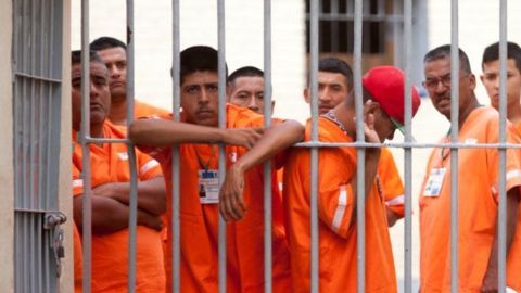 En los próximos meses serán liberados unos 50.000 prisioneros.