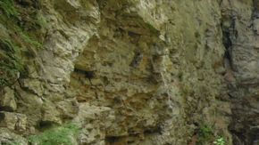 cueva