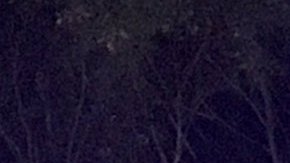 Descarrilamiento de tren