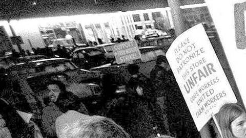 La protesta de la uva en Delano inició el 8 de septiembre de 1965, apoyada por César Chávez.