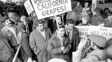 La protesta de la uva en Delano inició el 8 de septiembre de 1965, apoyada por César Chávez.