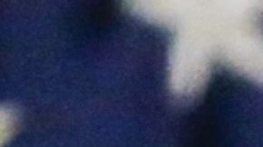 Trump celebró su segundo aniversario con un particular video en Twitter