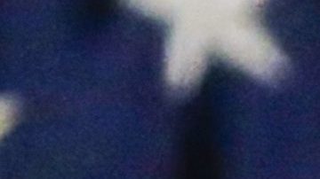 Trump celebró su segundo aniversario con un particular video en Twitter