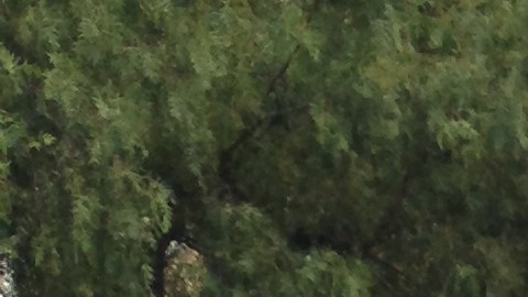 El alcalde de Bogotá, Enrique Peñalosa, promueve activamente el uso de la bicicleta como transporte público seguro y eficiente.