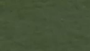 El festejo de Alan Gordon para el gol solitario del Galaxy en Houston.