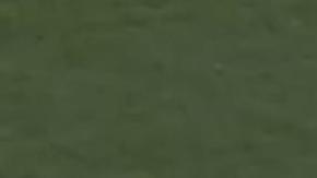 El festejo de Alan Gordon para el gol solitario del Galaxy en Houston.