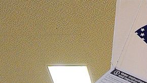 Zipcar, Lyft o Yellow Cab te facilitan llegar a tu centro de votación más cercano para que ejerzas tu derecho.