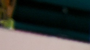 US-VOTE-CALIFORNIA-politics