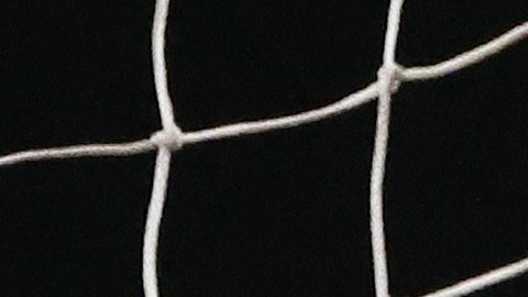 Chicharito clavó un cabezazo ante el Mónaco para su gol 100.
