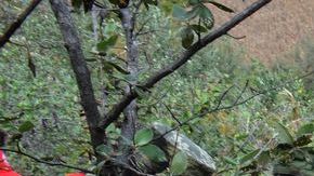 Fosas clandestinas en México.