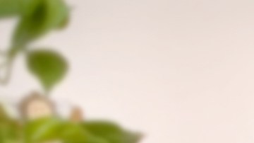 Los testamentos ahorran muchos costos para los herederos./Shutterstock