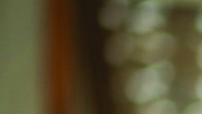 La información del Censo puede ayudar a tu negocio.