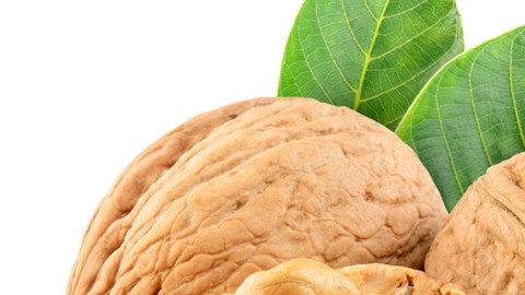 Nueces.
