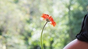 Era la segunda vez que prestaba su vientre a otra mujer.