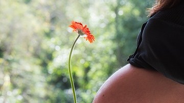 Era la segunda vez que prestaba su vientre a otra mujer.