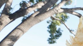 California es uno de los estados que se ha declarado en contra de la política de Trump.