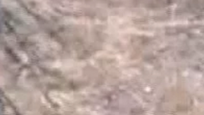 Las autoridades investigan los hechos.