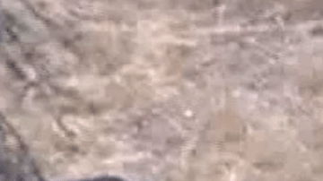 Las autoridades investigan los hechos.