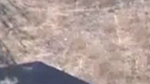 Las autoridades investigan los hechos.