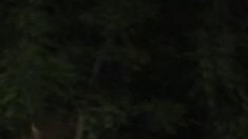 El LAPD está en busca del hombre que abrió fuego afuera del club Tiffany's.