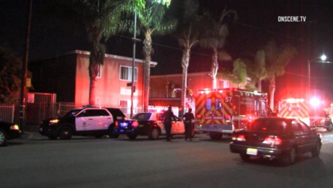 El tiroteo se reportó en el sur de Los Ángeles.
