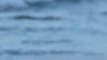 Sean tiene nueva dueña para su corazón.