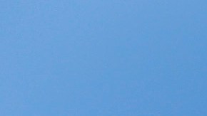 Proyecto no-partidista en contra de Trump