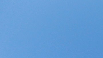 Proyecto no-partidista en contra de Trump