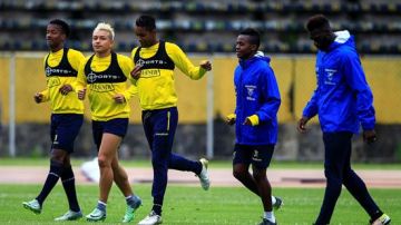 Ecuador no podrá contar aún con su más grandes figura, Antonio Valencia, por culpa de una lesión.