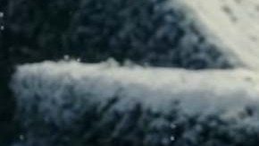 La película protagonizada por Emma Watson llegará a los cines en 2017.