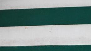 Aficionado de Chapcoense se lamenta