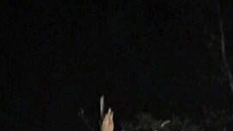 Daños causados por un tornado a su paso por Tuscumbia, Alabama .