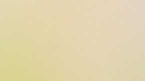 Loa arándanos son considerados como uno de los mejores antioxidantes que previenen en rápido proceso del envejecimiento.