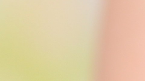Loa arándanos son considerados como uno de los mejores antioxidantes que previenen en rápido proceso del envejecimiento.