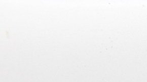 El agente de la Oficina de Inmigración y Control de Aduanas (ICE), que se encontraba fuera de servicio al momento del incidente, disparó contra la mujer que conducía y un hombre que la acompañaba mientras estos robaban su auto. /Archivo