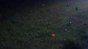 Wayne Williams se sentó frente a la tumba de su padre a escuchar con él las emociones del séptimo partido del Clásico de Otoño.