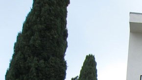 Ejemplo de "dingbat", el tipo de edificio más precario en caso de sismo y que se busca reforzar con nuevas propuestas de ley.