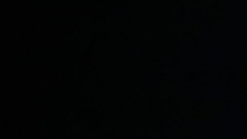 Donald Trump Campaigns In Key States During Weekend Ahead Of General Presidential Election