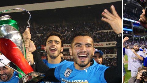 Gallos Blancos y Cubs