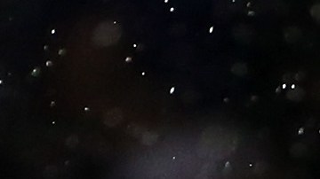 Familia en un partido ante los Cubs de Chicago.