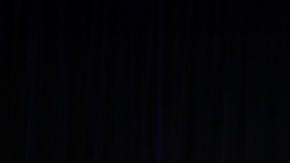 La nueva familia presidencial de EEUU