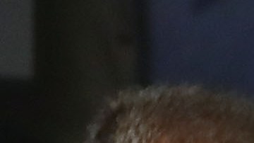 Alvarez y McGregor se encaran tras la ceremonia de pesaje previo a su combate esta noche.