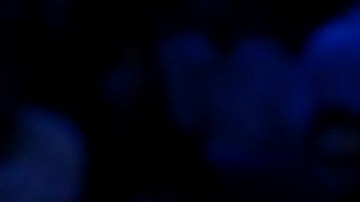 Novak Djokovic: su temperamento podría pasarle factura en cualquier momento.