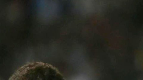 Gonzalo Higuain