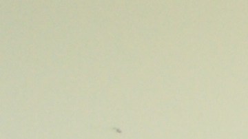 Jesse Arreguín, alcalde electo de la ciudad de Berkeley, California.